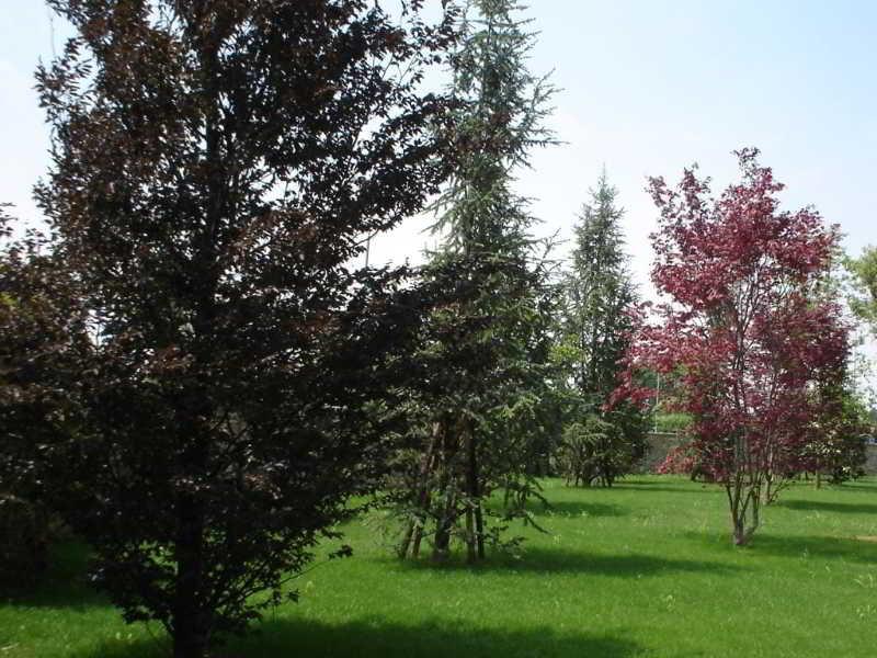 Grand Hotel Del Parco - Bergamo Airport Stezzano Eksteriør billede